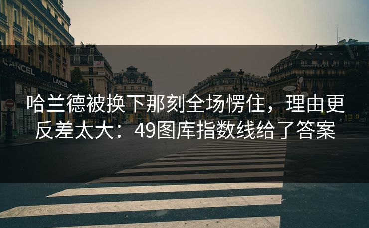 哈兰德被换下那刻全场愣住，理由更反差太大：49图库指数线给了答案