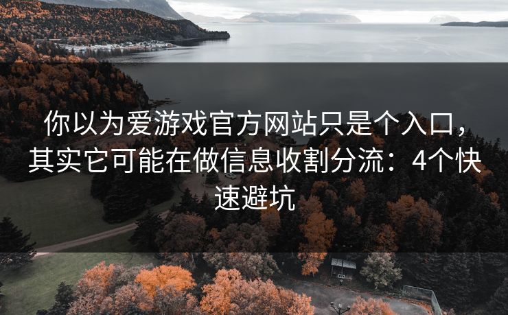 你以为爱游戏官方网站只是个入口，其实它可能在做信息收割分流：4个快速避坑