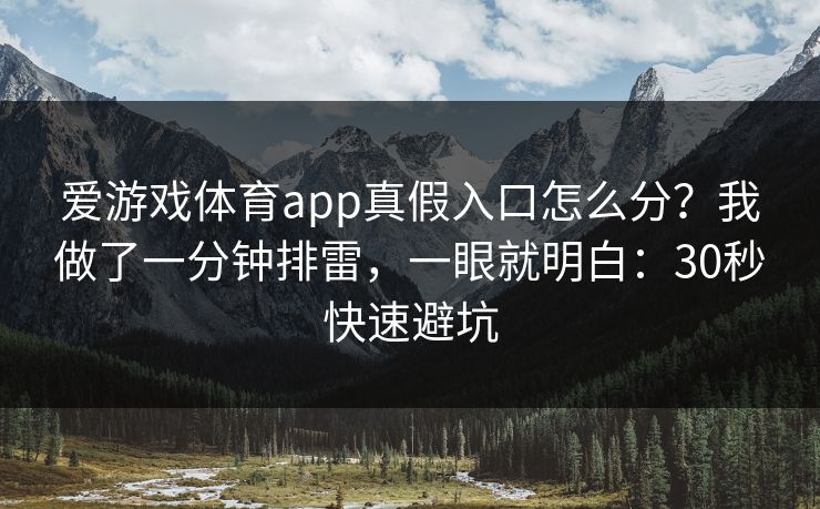 爱游戏体育app真假入口怎么分？我做了一分钟排雷，一眼就明白：30秒快速避坑
