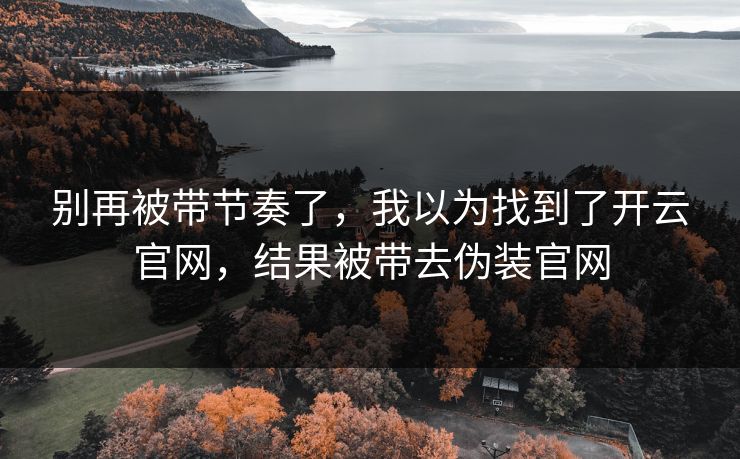 别再被带节奏了，我以为找到了开云官网，结果被带去伪装官网