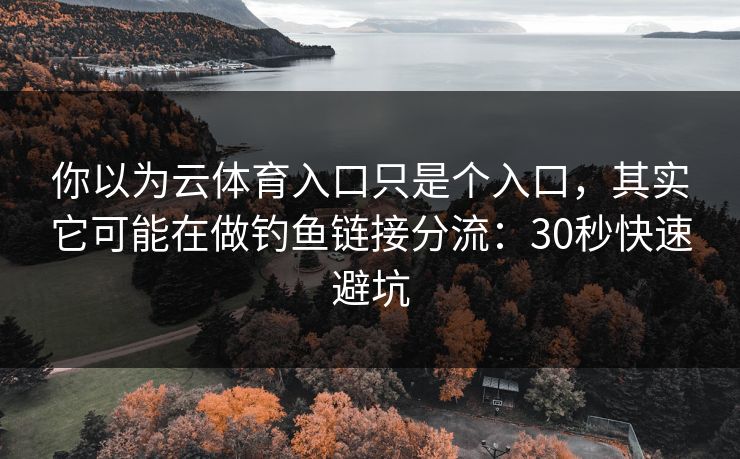 你以为云体育入口只是个入口，其实它可能在做钓鱼链接分流：30秒快速避坑