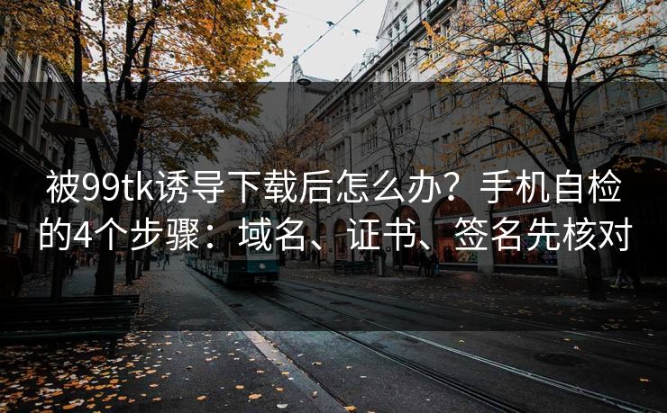 被99tk诱导下载后怎么办？手机自检的4个步骤：域名、证书、签名先核对